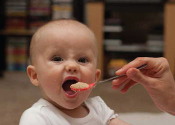 6 to 12 months — your baby's first foods